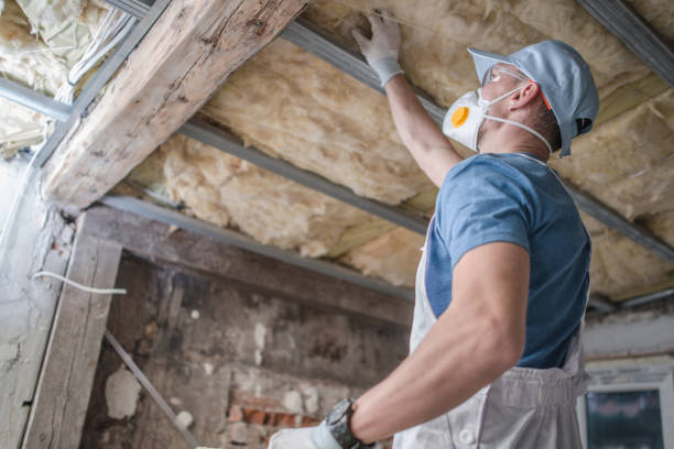 Best Insulation Removal  in Franklin, PA