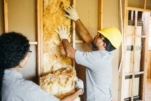 Best Home Insulation Services  in Franklin, PA