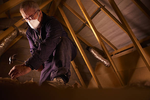 Best Professional Insulation Contractor  in Franklin, PA